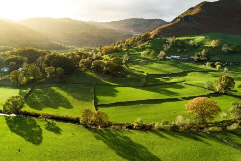 adobe stock fields 3x2
