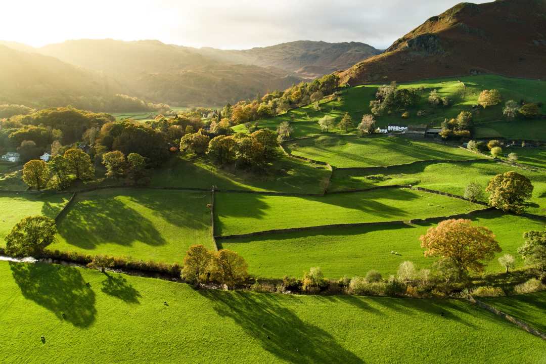 adobe stock fields 3x2